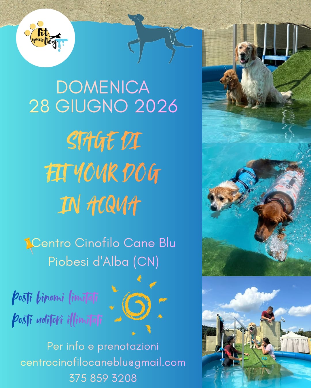 28/06/2026 Stage Fit Your Dog in Piscina